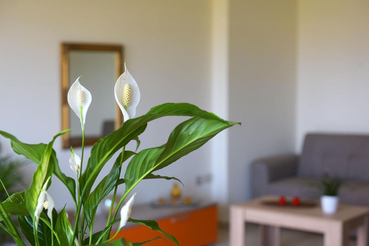 Stelia Luxury Apartments Kalavarda Ngoại thất bức ảnh
